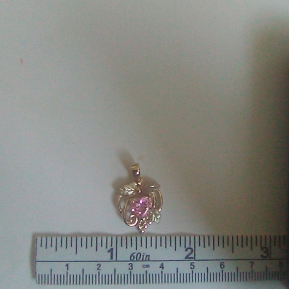 NWT, PRICE FIRM/18KT GOLD OVER S.S HEART NECKLACE - Picture 14 of 15